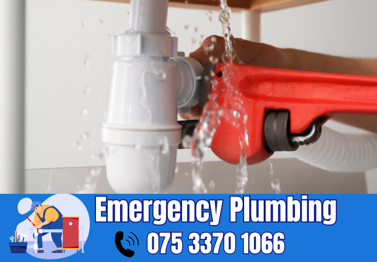  plumber Walmer