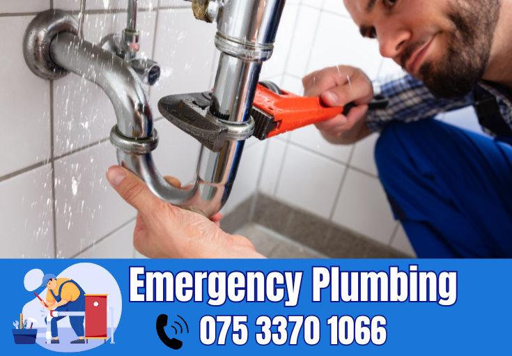  plumber Mill Hill
